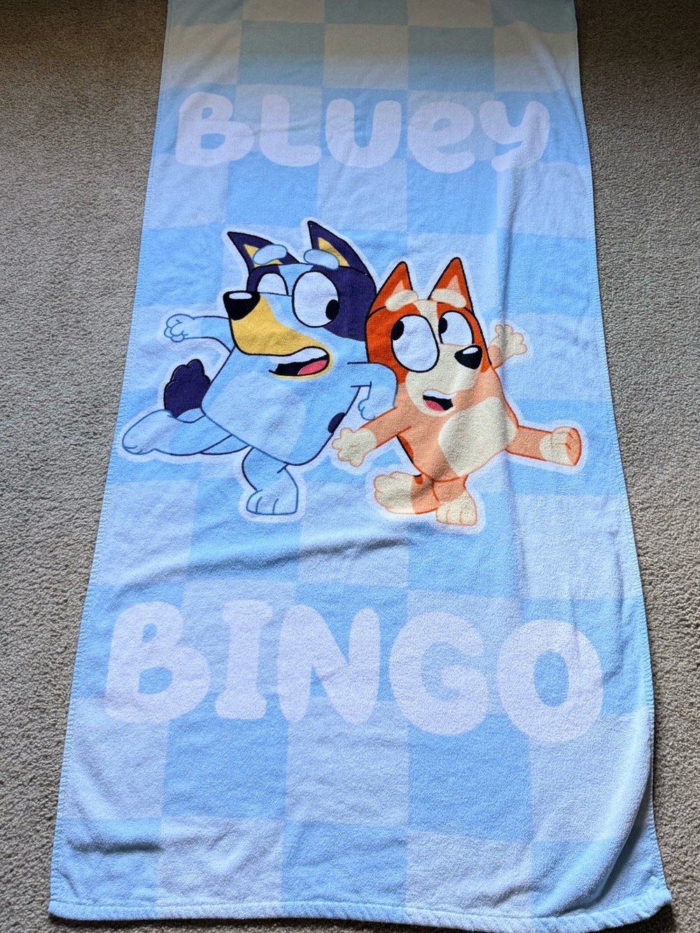Bluey & Bingo Kids Beach Towel – Light Blue